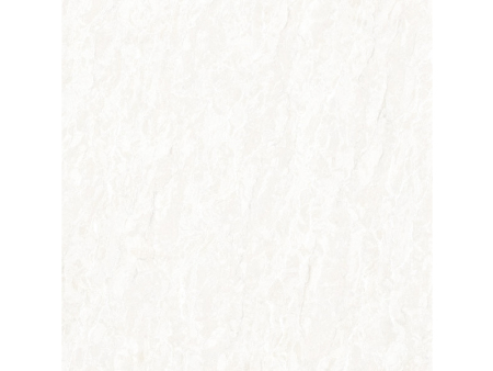 81301